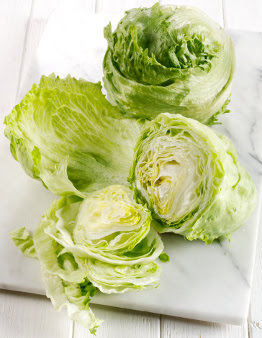 084123_lettuce3.jpg
